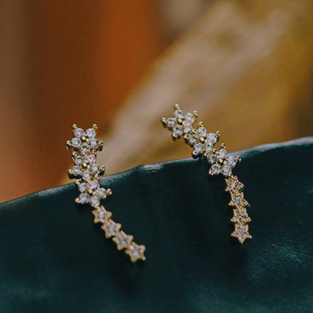 Zodiac Earrings Silver Ear Jacket